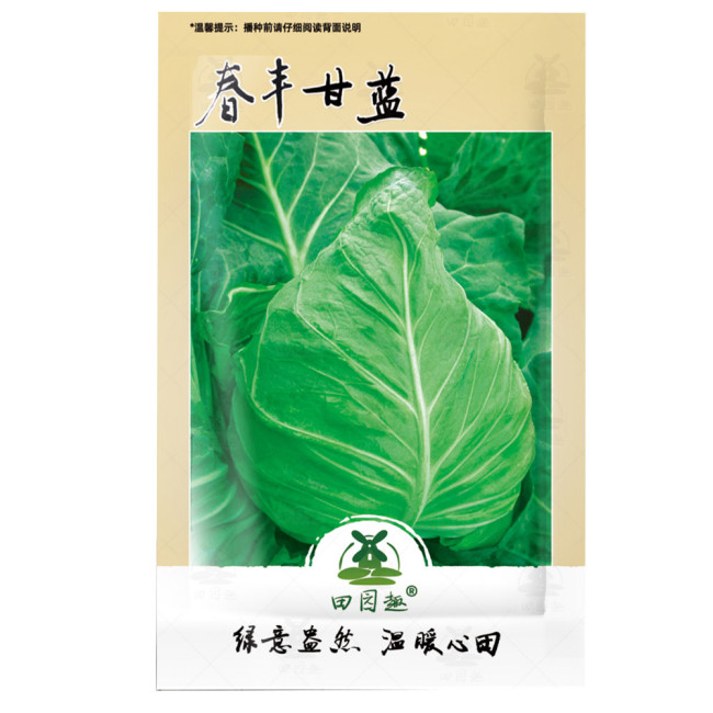 400pcs CABBAGE SEED, EARLY JERSEY WAKEFIELD, HEIRLOOM, ORGANIC, NON GMO