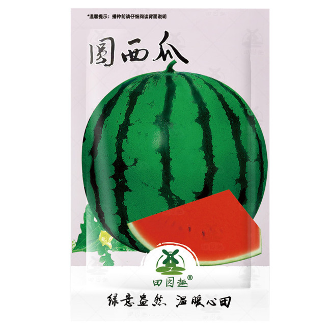 25pcs Watermelon Seeds | Organic Fruit Watermelon