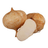 50pcs seed Jicama Pachyrhizus Erosus Organic Vegetables Home Garden High Quality