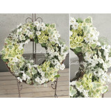 50PCS Japanese Ivy Seeds 'White Valentine'