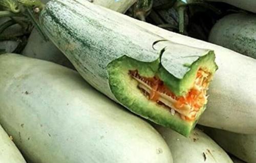 20PCS Rare Chinese Sweet Melon Seeds