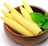 50 Pcs Mini Baby Sweet Corn Seeds Vegetable Poporn