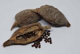 30 Seeds Alligator Pepper Wesa Seeds Easy to Seasons, Meaningful Gift.
