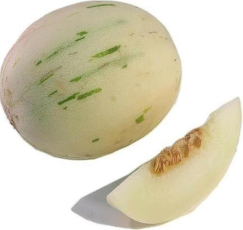 100 Seeds Snow Leopard Melon Seeds Gaya