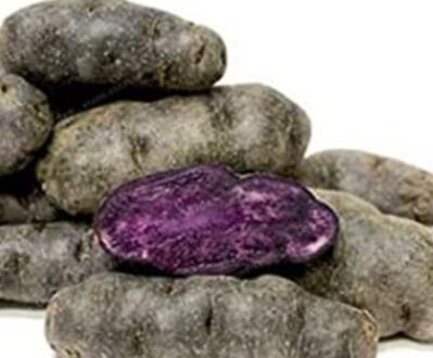 100 Russian Banana Fingerling Potato Bonsa Organic Seed Vegetables Fruit Sweet Healthy Kitchen Cooking Food Garden Seed NO GMO - (Color: 1)