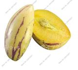 Ginseng Fruit Seed Plant Seed Plant Vegetables Ornamental Funny Seed for Home & Garden Delicious Fruit 100pcs - (Color: Mixed)