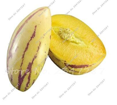 Ginseng Fruit Seed Plant Seed Plant Vegetables Ornamental Funny Seed for Home & Garden Delicious Fruit 100pcs - (Color: Mixed)