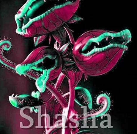 300 Pcs Garden Potted Flytrap Seed Dionaea Muscipula Giant Clip Venus Flytrap Terrace Garden Carnivorous Plant Seed Decor - (Color: 5)