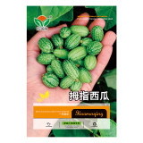 100PCS thumb watermelon seeds eat raw mini fruit small watermelon seeds balcony potted home gardening