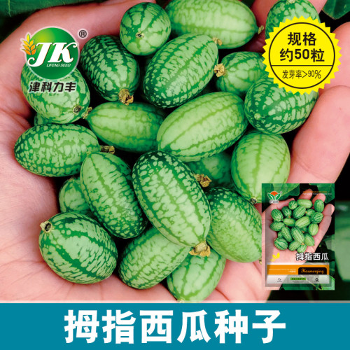 100PCS thumb watermelon seeds eat raw mini fruit small watermelon seeds balcony potted home gardening