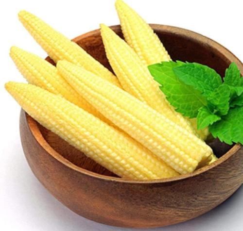 250 Pcs Mini Baby Sweet Corn Seeds Vegetable Poporn