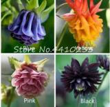 200 Pcs Hardy Bonsai Plant Beautiful Aquilegia Flower Mixed European Perennial Flower Bonsai Plant Embellishing Home & Garden - (Color: Mix)