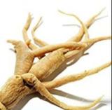 50PCS Very Popular Panax Quinquefolius Herbal Much Loved American Ginseng Perennial Herb Occidental Ginseng
