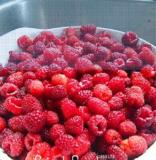 100 Pieces/Pack Lowest Price!Heritage Raspberry Garden, Non-GMO, Organic, Seed Fruit Tree Plant
