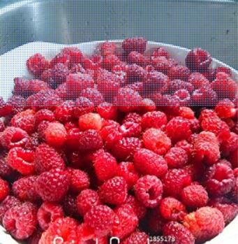 100 Pieces/Pack Lowest Price!Heritage Raspberry Garden, Non-GMO, Organic, Seed Fruit Tree Plant