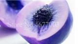 2PCS Sweet Peach Seed China Nectarine Peach Outdoor Seed
