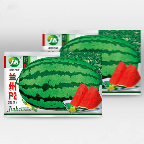 5 Bags (25 Seeds / Bag) of 'Lanzhou P2' Series: Large-Fruit, Traditional Variety, Super Sweet Watermelon
