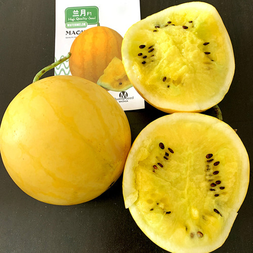 5 Bags (20 Seeds / Bag) of 'Golden Baby' Watermelon Seeds