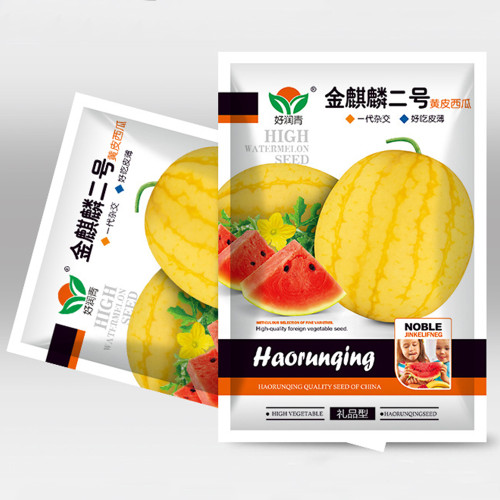 5 Bags (20 Seeds/Bag) of 'Golden Kylin No.2' Series: Golden-skinned, Red-fleshed Gift Watermelon