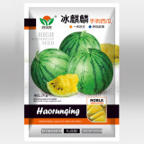 5 Bags (20 Seeds / Bag) of 'Kylin Ice Cream' Series Watermelon Seeds