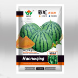 5 Bags (20 Seeds / Bag) 'Rainbow Ice Cream' Series Watermelon Seeds