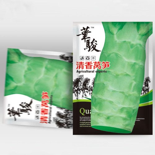 5 Bags (3000 Seeds / Bag) Green Asparagus Lettuce Seeds