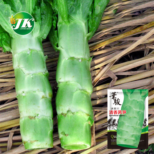 5 Bags (3000 Seeds / Bag) Green Asparagus Lettuce Seeds