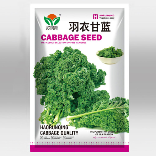 5 Bags (100 Seeds / Bag) of 'Blue Ridge' Kale