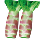 5 Bags (2000 Seeds / Bag) Red Asparagus Lettuce Seeds