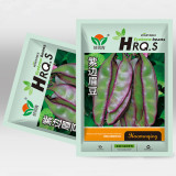 Grow Your Own Palette: 5 Bags (10 Seeds / Bag) of Hyacinth Bean in Purple and Green