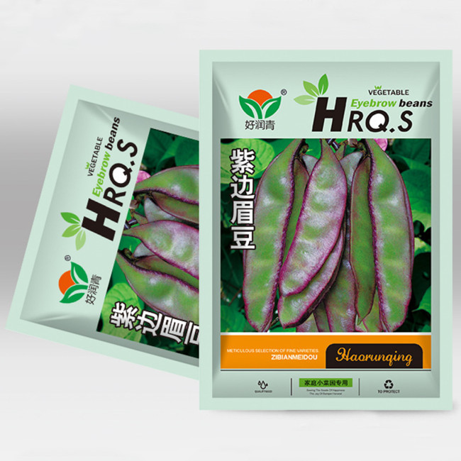 Grow Your Own Palette: 5 Bags (10 Seeds / Bag) of Hyacinth Bean in Purple and Green