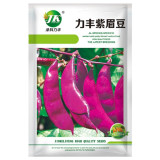 Colorful Harvest Awaits: 5 Packs (10 Seeds / Bag) of Early-Maturing Hyacinth Bean