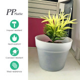 Thickened Hydroponic Innovation: Set of 5 Matte Semi-Transparent PP Planters for Greenery