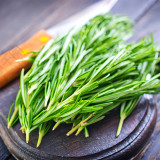 Fragrant Finesse: Blue Flowering Rosemary Seed Collection