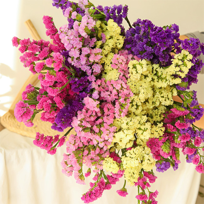 Opt for Elegance: Limonium Sinuatum Seeds with Blue Heart, Purple, Yellow, White Options