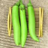 Elevate Your Garden with Emerald Long Eggplant Seeds