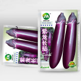Spring-Summer Eggplant Seeds: Thick-Fleshed, Purple-Red Variety