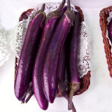 Spring-Summer Eggplant Seeds: Thick-Fleshed, Purple-Red Variety