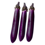 Spring-Summer Eggplant Seeds: Thick-Fleshed, Purple-Red Variety