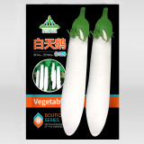 White Long Eggplant Seeds: Pure White Skin and Flesh