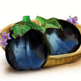 Black Beauty Eggplant Seeds