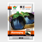 Black Beauty Eggplant Seeds