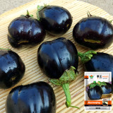 Black Beauty Eggplant Seeds