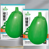 Xi'an Green Allure: Unveiling the Green Eggplant Seeds