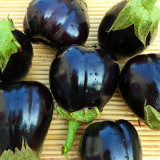Black Beauty Eggplant Seeds