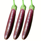 Bamboo Silk Marvel: Flowering Eggplant Seeds from Sichuan