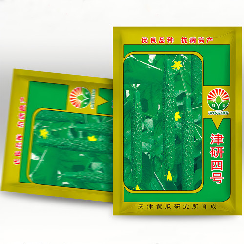 Time-Honored Greens: 'Jinyan No.4' Thorny Cucumber Seed Marvels