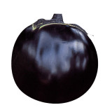 Garden Noir: Explore the World of Black Round Eggplant Seeds