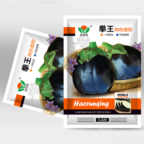 Black Beauty Eggplant Seeds