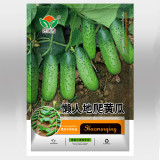 Compact and Tasty: No-Stake Mini Cucumber Varieties